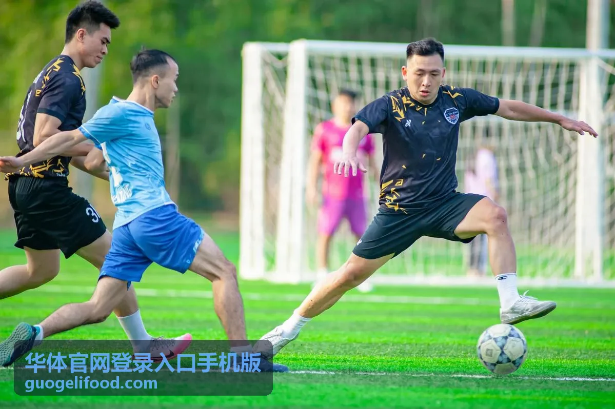 华体官网登录入口手机版第一步打开移动端入口的界面示意